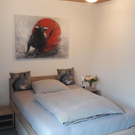 1 Zimmer Appartment ชปริงเกอ ภายนอก รูปภาพ